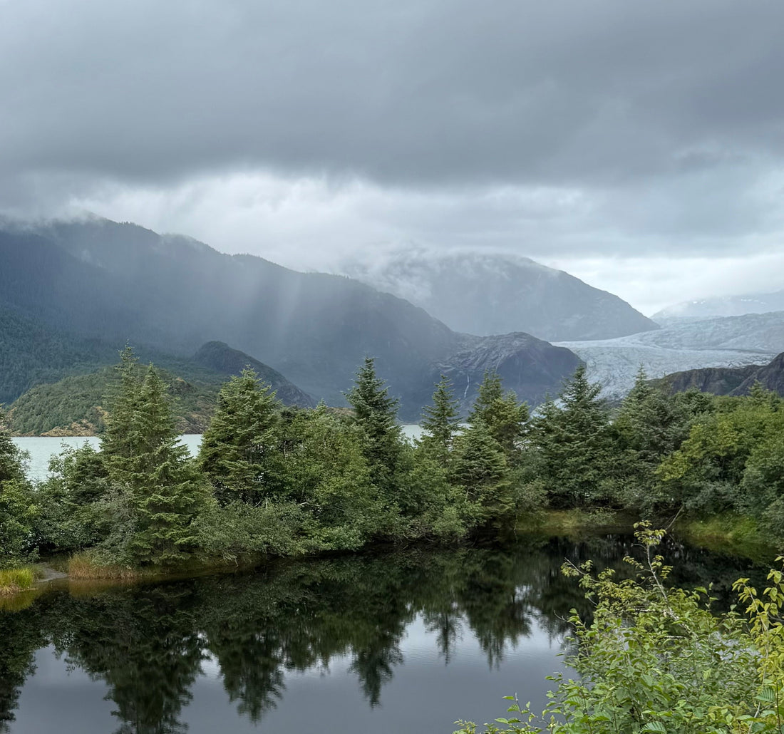 My Alaska Cruise Mini-Quilt